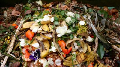 Food_waste_in_the_midst_of_hunger_Humanity_Spring-1170×658