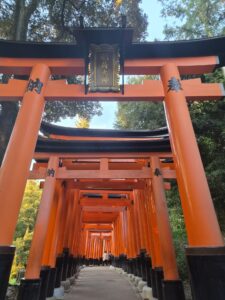 Rows of red torii gates at Fushimi Inari Taisha in Kyoto, Japan